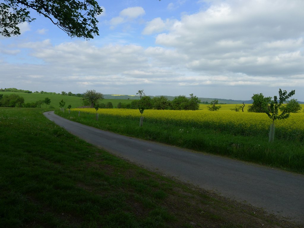 PavlaCzechVisit 207
